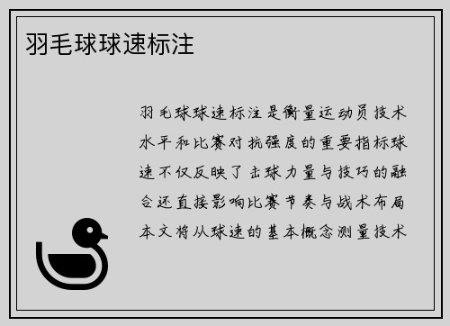 羽毛球球速标注