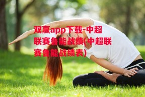 双赢app下载-中超联赛鲁能战绩(中超联赛鲁能战绩表)